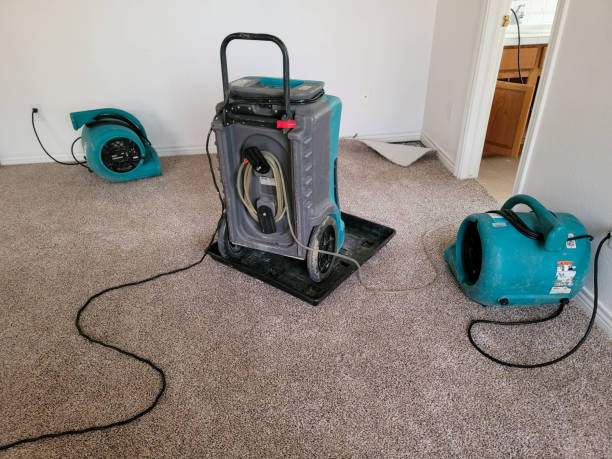 Best Fire Damage Restoration  in Monte Alto, TX
