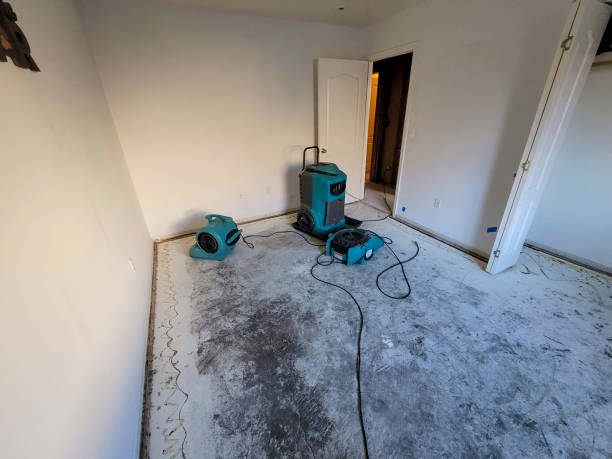 Professional Water damage restoration in Monte Alto, TX