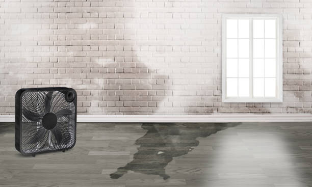 Monte Alto, TX Water damage restoration Company