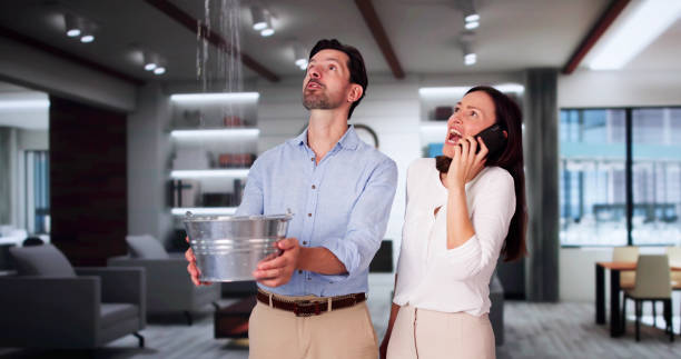 Carpet water damage restoration in Monte Alto, TX